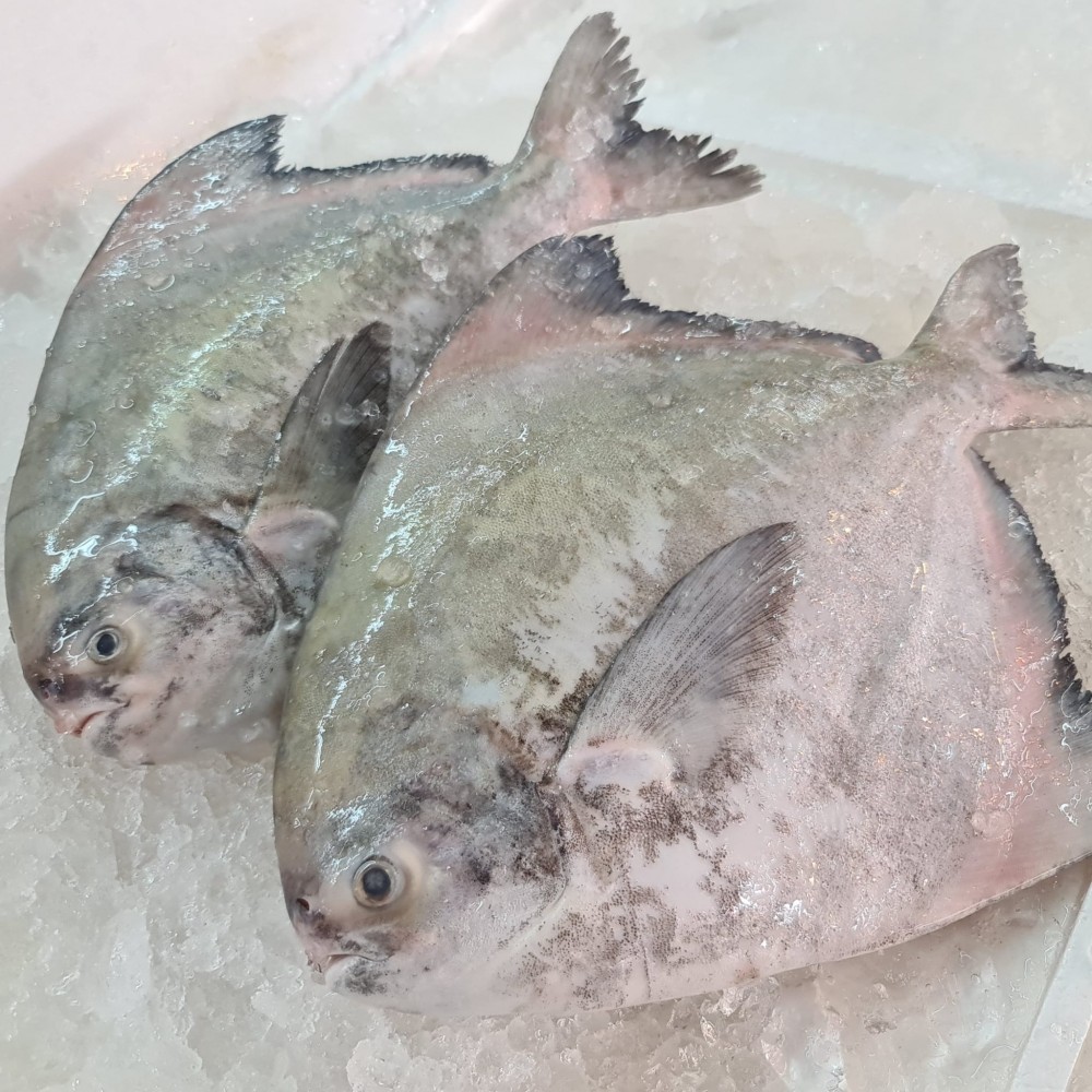 Seafood