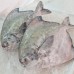 Seafood