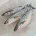 Fresh Seafood
