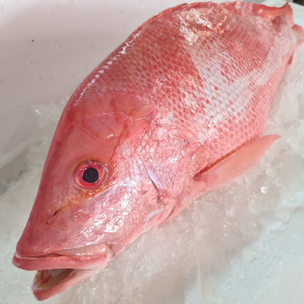 Seafood
