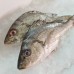 Seafood