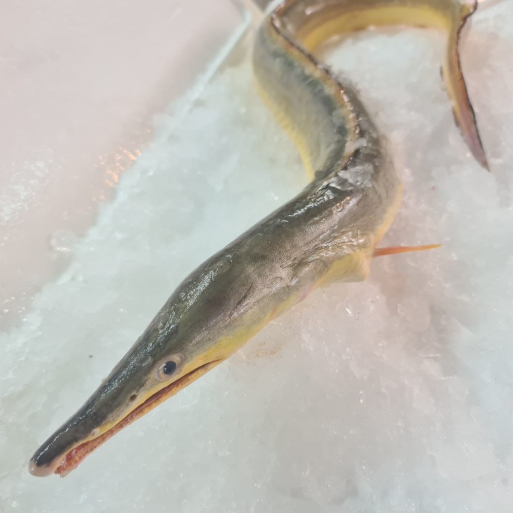 Seafood