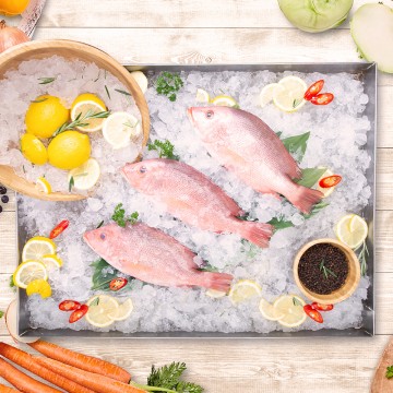 Red Snapper Whole 红鸡 (500g-600g)