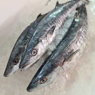 RARE DEALS! Batang Whole 巴当 (refer to description)