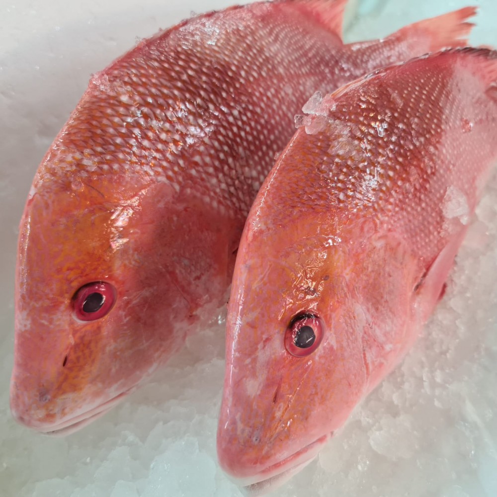 Seafood