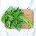 Fresh Vegetables